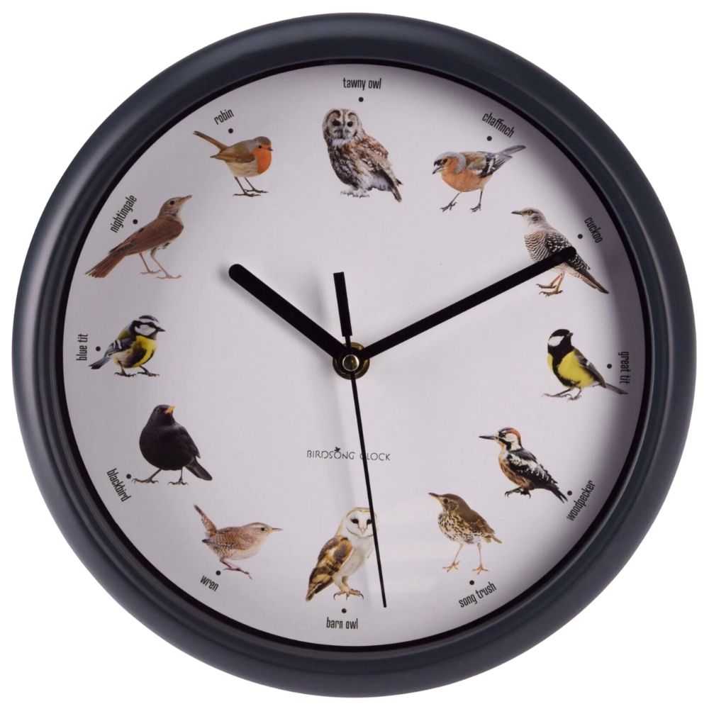 Birdsong Wall Clock Green Rim White Dial Bird Sounds
